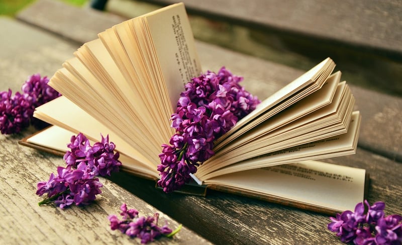 Upcycled Books